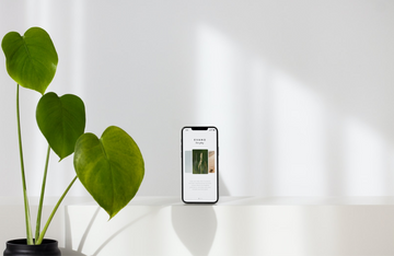 As people move out of big cities, fashion retail follows