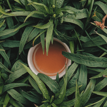 Organic Green Tea