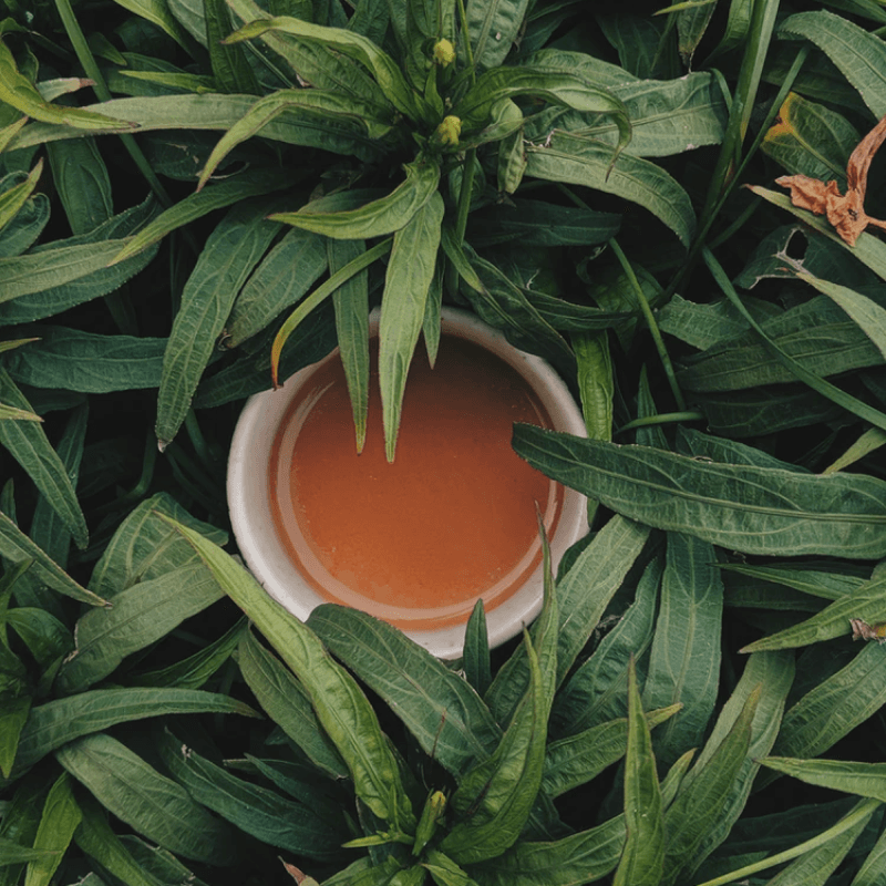 Organic Green Tea