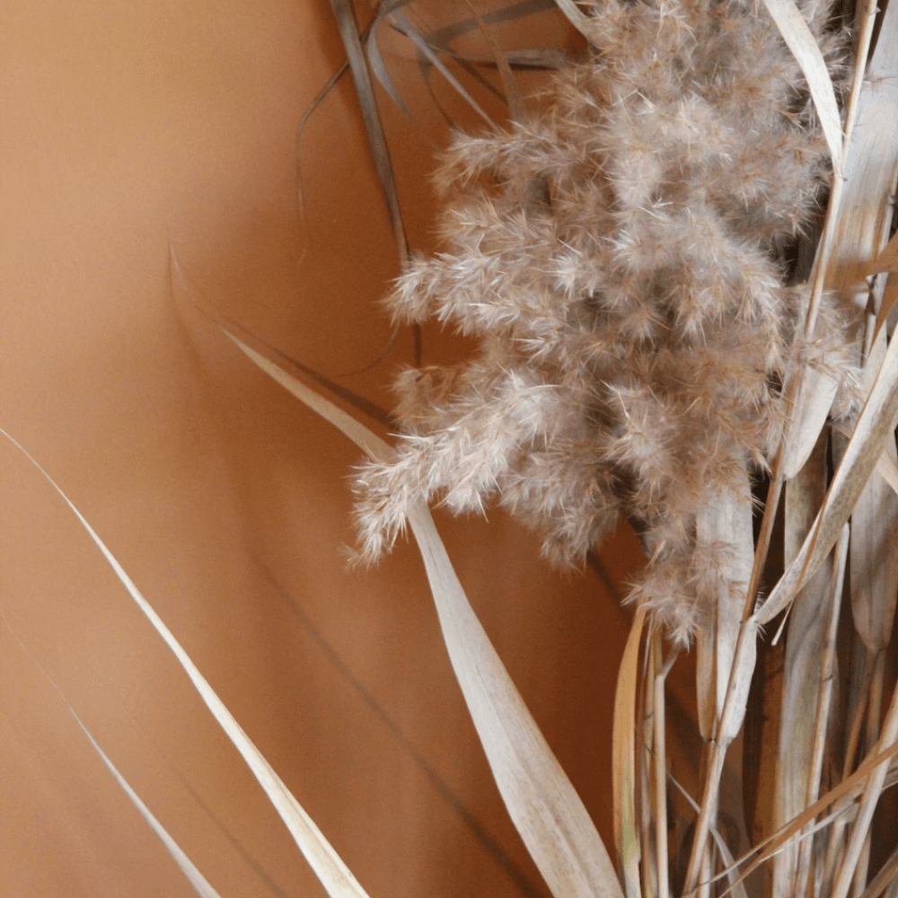 Brown Wall Paint