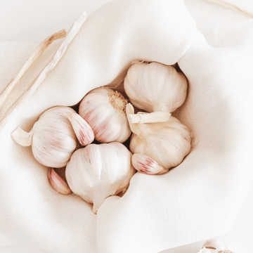 Local Organic Garlic
