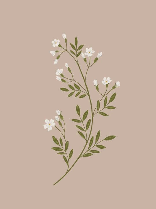 Minimal Flower Card