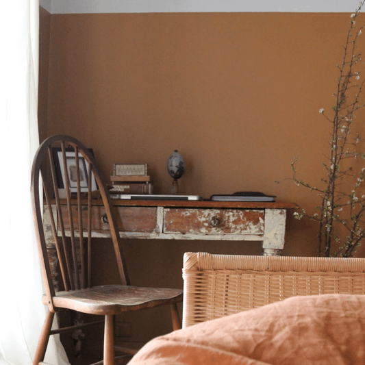 Brown Wall Paint